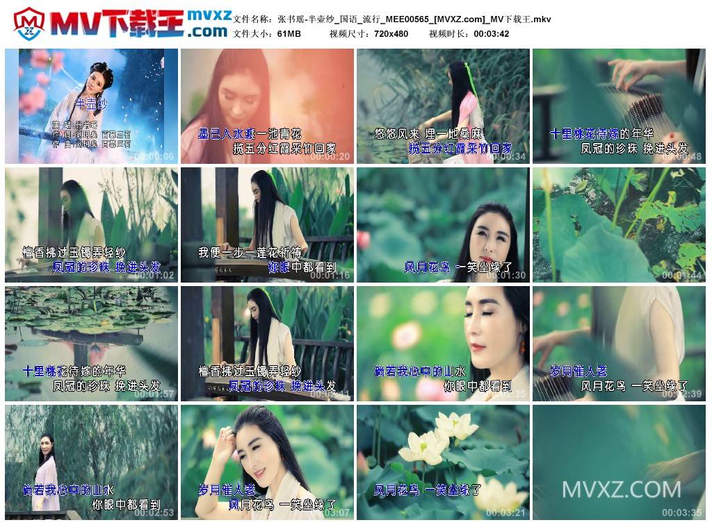 张书瑶-半壶纱_国语_流行_MEE00565